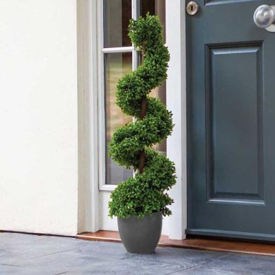 Topiary Twirl - 90cm