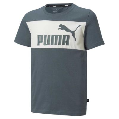 Puma Esential Colourblock T-Shirt Slate