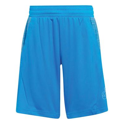 adidas BAR Logo Shorts - Blue