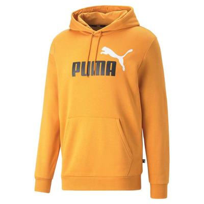 Puma Essentials Big Logo Hoodie - Desert Clay