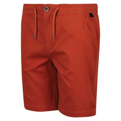 Regatta Albie Casual Chino Shorts - Baked Clay