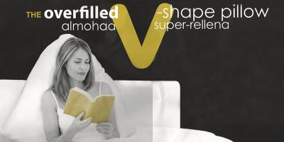 Sleep Works V-Shape Pillow+ Cover