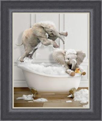 Elephants in the Bath Picture