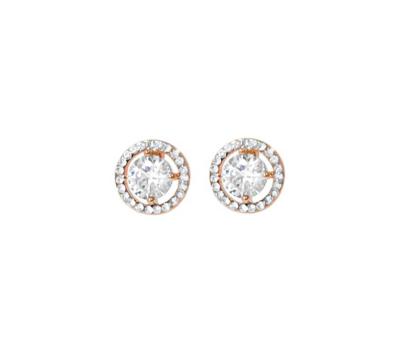 Absolute Halo Style Stud Earrings - Rose Gold
